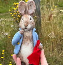 beatrix potter peter rabbit needle felting kit crafty kit company fabric shack malmesbury
