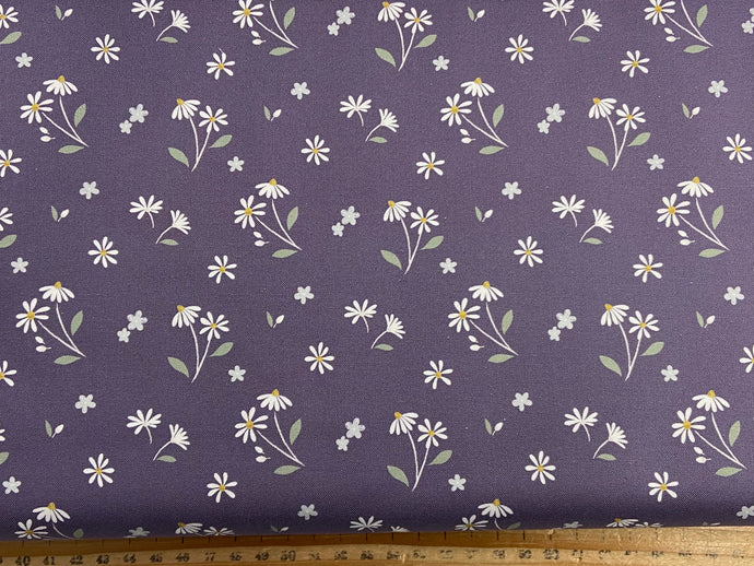 lewis & and irene floral song lavender blossom purple dancing daisy daisies flowers floral flower bloom on purple cotton fabric shack malmesbury 2