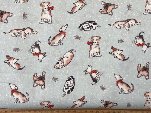 mans best friend dog puppy pup christmas holiday cosy scarf light blue cotton fabric shack malmesbury