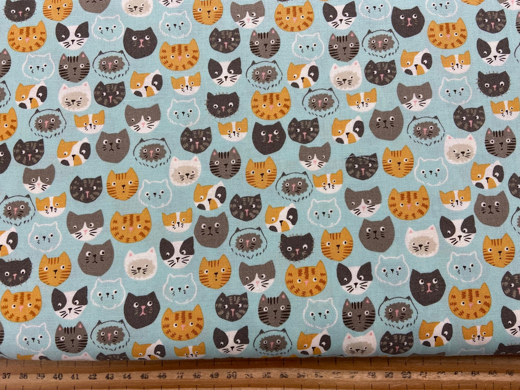stacy iest hsu moda here kitty kitty cat faces cotton fabric shack malmesbury character fabric blue
