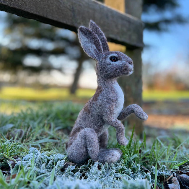 The Crafty Kit Company Wild Scottish Hare Needle Felting Kit Fabric