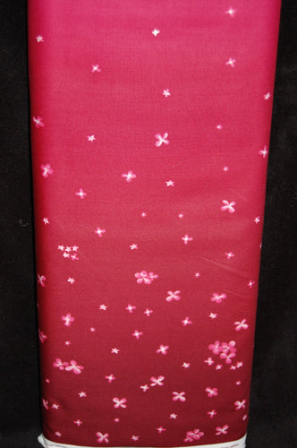 fabric shack sewing quilting sew fat quarter cotton quilt patchwork dressmaking vanessa christenson of v & co ombre bloom blossom varigated flower floral (7)