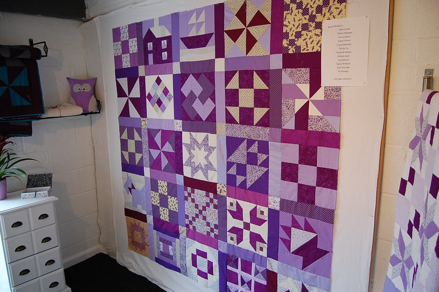 Fund Raising Has Started for Our Make May Purple Quilt