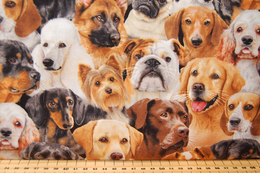 More Perfect Puppies!