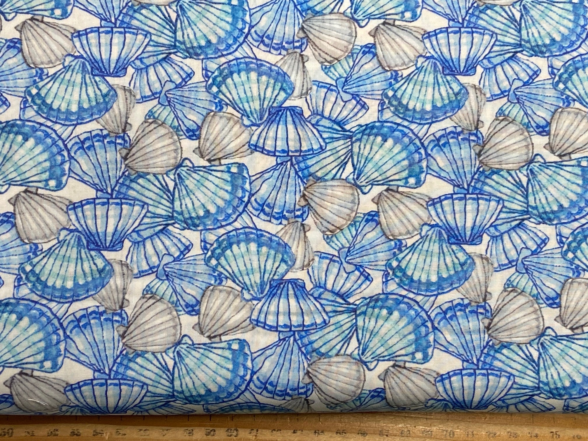 Cotten Shell Anita Jeram for Clothworks Sandy Toes Scallop Shells Blue on White Cot ...