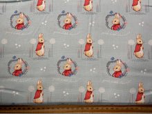 beatrix potter peter rabblit classic jemima puddleduck flopsy mopsy jeremy fisher mrs tiggiewinkle squirrel nutkin light blue cotton fabric shack malmesbury