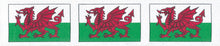 berisfords satin ribbon welsh dragon 25mm flag banner fabric shack malmesbury R1366625_1