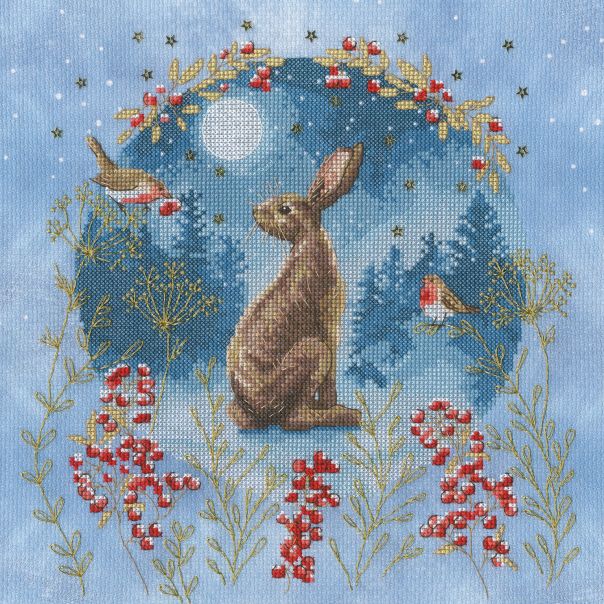 bothy threads jane sunner cross stitch kits fabric shack malmesbury midnight moongazer 1 