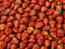 cotton canvas strawberry strawberries fruit fabric shack malmesbury 3