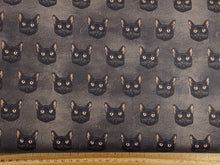 dan dipaolo clothworks gothic halloween eyes on you black cat faces cotton fabric shack malmesbury