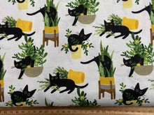 dear stella feline fancy lezzaworks black cat kitty pussy kitten just purrlanted plant pots black white fabric shack malmesbury