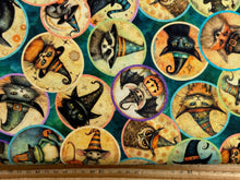 morris creative group QT fabrics witchy poo fabric shack malmesbury halloween gothic haunted animals in hats 