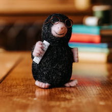 mr mole needle felting kit crafty kit company fabric shack malmesbury