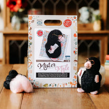 mr mole needle felting kit crafty kit company fabric shack malmesbury box pic