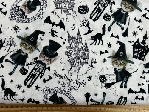 Timeless Treasures Boo Costumed Kittens Cotton Fabric by 1/4 Metre*