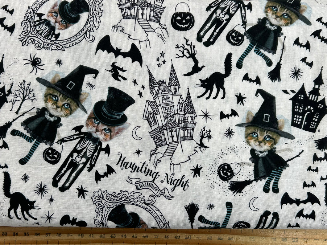 Timeless Treasures Boo Costumed Kittens Cotton Fabric by 1/4 Metre*
