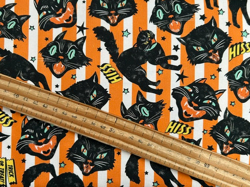 timeless treasures wicked scardy cat cats halloween gothic trick treat orange cotton fabric shack malmesbury