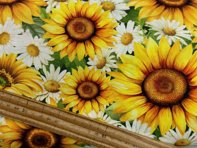 timeless treasures you are my sunshine daisy daisies sunflowers sun flowers cotton fabric shack malmesbury