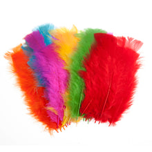 trimits feathers bright multicoloured feathers large fabric shack malmesbury CC28