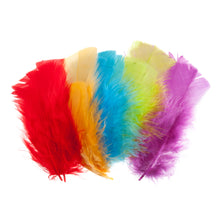 trimits feathers bright multicoloured feathers small fabric shack malmesbury CC27