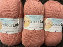 west yorkshire spinners colourlab colour lab wool yarn double knit dk candy pink 1133 fabric shack malmesbury
