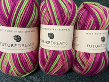 west yorkshire spinners colourlab colour lab wool yarn double knit dk future dreams 1197 fabric shack malmesbury