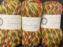west yorkshire spinners signature 4 ply wool yarn bluefaced leicester sock green woodpecker 1170 fabric shack malmesbury