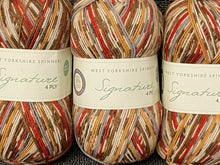 west yorkshire spinners signature 4 ply wool yarn bluefaced leicester sock robin 941 fabric shack malmesbury