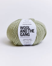 Wool And The Gang Alpachino Merino Super Chunky 100g Ball Various Colours