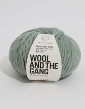 wool and the gang crazy sexy wool super chunky eucalyptus green fabric shack malmesbury