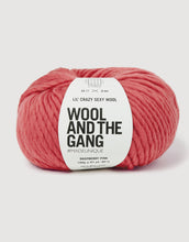 wool and the gang lil crazy sexy chunky raspberry pink fabric shack malmesbury
