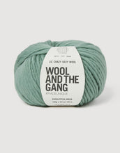 wool and the gang lil crazy sexy chunky eucalyptus green fabric shack malmesbury