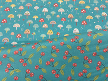 fabric shack sewing quilting sew fat quarter cotton patchwork quilt abi hall moda hello sunshine mushroom toadstool rainbow cherry cherries teal 2