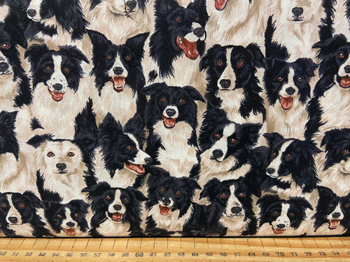 fabric shack sewing quilting sew fat quarter cotton patchwork quilt border boarder collie dog black white dog puppy puppies pooch