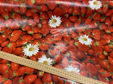 fabric shack sewing sew kitchen table tablecloth cloth PVC plastic coated strawberry strawberries 2