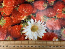 fabric shack sewing sew kitchen table tablecloth cloth PVC plastic coated strawberry strawberries 2