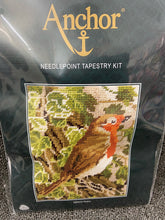 fabric shack sewing sew tapestry needlepoint kits kit anchor english garden birds robin MR935