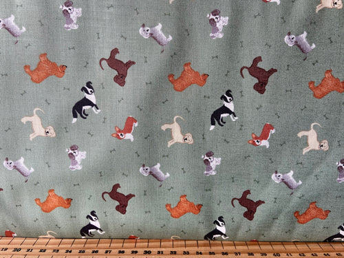 fabric shack sewing quilting sew fat quarter cotton quilt lewis & and irene small things pets tortoise rabbit guinea pig parrot cockatoo budgie budgerigar dog collie labrador corgi cat shih tzu light country green