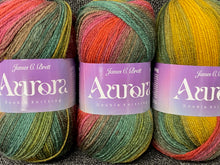 james c brett aurora double knit dk wool yarn 100g blend varigated autumn brown red green 05 fabric shack malmesbury