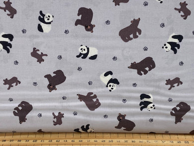 small things wild animals lewis & and irene animal giraffe zebra leopard hippo rhino lion tiger elephant bear panda jungle