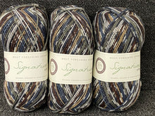 west yorkshire spinners signature 4 ply wool yarn bluefaced leicester sock owl 877 fabric shack malmesbury